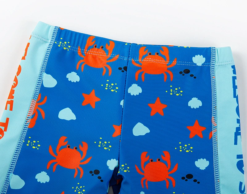 Kids Summer Clothes Crabs Printing Bathing Suits UV Protection Swimsuit Baby Boy Girl 2-16 Years Short Sleeve Zip Nylon Spandex Swimwear for Swimming Pool, SPA